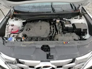 ✅ 2024 Hyundai Santa Cruz SEL • VIN: 5NTJBDDE7RH103106 • Лот: 82616614. Размещён на Copart с пробегом 12 985 миль миль. Получите бесплатный доступ к архиву аукционных продаж из США и посмотрите подробный отчёт об истории автомобиля на DreamBid. Изображение 13.