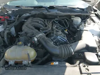 ✅ 2017 Ford Mustang V6 • VIN: 1FA6P8AM9H5259905 • Lot: 43243128. Wystawiony na IAAI z przebiegiem 75 257 mil. Bezpłatny archiwum sprzedaży aukcyjnych z USA i szczegółowy raport historii pojazdu na DreamBid. Zdjęcie 24.