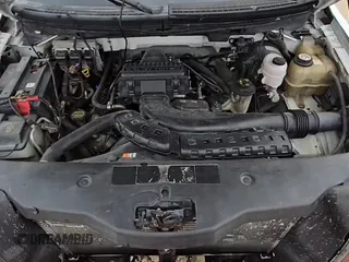 ✅ 2005 Ford F-150 XLT • VIN: 1FTPW12575KD45422 • Lot: 55288725. Listed on Copart with 318,218 mi. Free auction sales archive from the USA and detailed vehicle history report at DreamBid. Image 14.