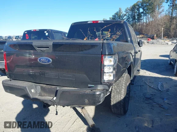 ✅ 2019 Ford F-150 XLT • VIN: 1FTEW1EP5KFB02362 • Lot: 44167266. Wystawiony na IAAI z przebiegiem 112 432 mil. Bezpłatny archiwum sprzedaży aukcyjnych z USA i szczegółowy raport historii pojazdu na DreamBid. Zdjęcie 4.