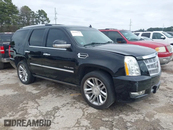 ✅ 2010 Cadillac Escalade Platinum Edition • VIN: 1GYUKDEF9AR283828 • Lot: 44188139. Wystawiony na IAAI z przebiegiem 165 100 mil. Bezpłatny archiwum sprzedaży aukcyjnych z USA i szczegółowy raport historii pojazdu na DreamBid. Zdjęcie 1.