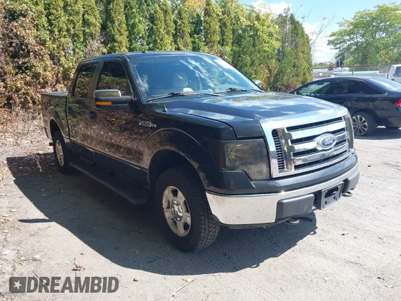 ✅ 2010 Ford F-150 XL • VIN: 1FTEW1E86AFA73414 • Lot: 43419119. Listed on IAAI with 240,526 mi. Free auction sales archive from the USA and detailed vehicle history report at DreamBid. Image 1.