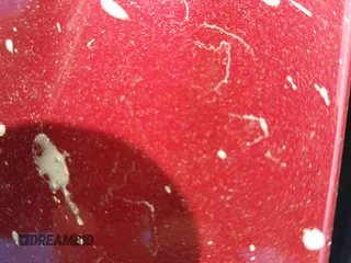 ✅ 2017 Nissan Maxima SR • VIN: 1N4AA6AP4HC376409 • Лот: 43743639. Опубликован ранее на IAAI с пробегом 29 823 миль. Бесплатный доступ к архиву аукционных продаж из США и подробный отчёт об истории автомобиля на DreamBid. Изображение 20.