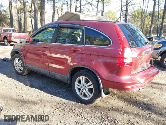 ✅ 2010 Honda CR-V EX-L • VIN: 5J6RE4H78AL076304 • Lot: 43966179. Wystawiony na IAAI z przebiegiem 280 283 mil. Bezpłatny archiwum sprzedaży aukcyjnych z USA i szczegółowy raport historii pojazdu na DreamBid. Zdjęcie 3.