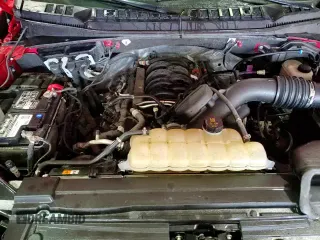 ✅ 2019 Ford F-150 XL • VIN: 1FTMF1E5XKKD02283 • Lot: 50175365. Listed on Copart with 24,391 mi. Free auction sales archive from the USA and detailed vehicle history report at DreamBid. Image 15.