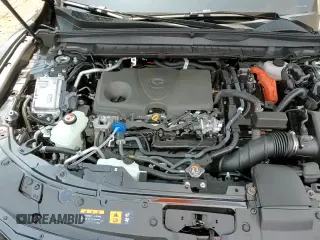 ✅ 2025 Mazda CX-50 Hybrid Premium Plus Package • VIN: 7MMVAAEW8SN114209 • Lot: 66954375. Listed on Copart with 366 mi. Free auction sales archive from the USA and detailed vehicle history report at DreamBid. Image 17.