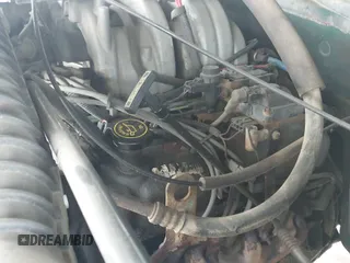 ✅ 1995 Ford F-150 • VIN: 1FTEF14N5SLB99855 • Lot: 42897516. Wystawiony na IAAI z przebiegiem 155 216 mil. Bezpłatny archiwum sprzedaży aukcyjnych z USA i szczegółowy raport historii pojazdu na DreamBid. Zdjęcie 19.