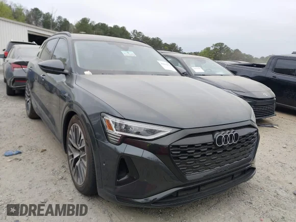 ✅ 2024 Audi Q8 e-tron Premium Plus • VIN: WA15AAGE4RB050051 • Lot: 44694674. Listed on IAAI with 16,876 mi. Free auction sales archive from the USA and detailed vehicle history report at DreamBid. Image 1.