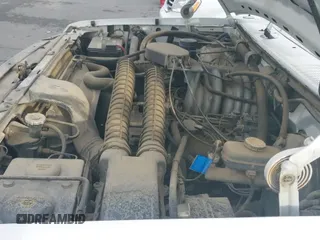 ✅ 1994 Ford F-150 • VIN: 1FTEX14HXRKB91709 • Lot: 43430273. Wystawiony na IAAI z przebiegiem 83 065 mil. Bezpłatny archiwum sprzedaży aukcyjnych z USA i szczegółowy raport historii pojazdu na DreamBid. Zdjęcie 19.