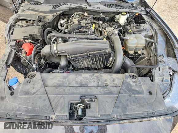 ✅ 2024 Ford Mustang EcoBoost • VIN: 1FA6P8TH2R5107076 • Lot: 47224396. Wystawiony na Copart z przebiegiem Nie podano. Bezpłatny archiwum sprzedaży aukcyjnych z USA i szczegółowy raport historii pojazdu na DreamBid. Zdjęcie 11.