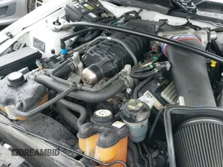 ✅ 2007 Ford Mustang Shelby GT500 • VIN: 1ZVHT88SX75317986 • Lot: 42310721. Wystawiony na IAAI z przebiegiem 44 643 mil. Bezpłatny archiwum sprzedaży aukcyjnych z USA i szczegółowy raport historii pojazdu na DreamBid. Zdjęcie 18.