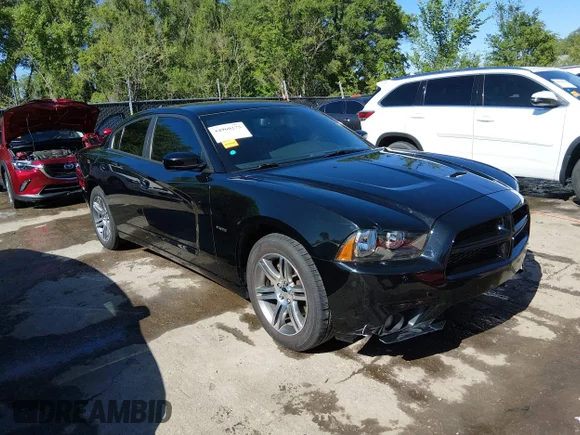 ✅ 2013 Dodge Charger Road/Track • VIN: 2C3CDXCT0DH668029 • Lot: 44960275. Listed on IAAI with 129,679 mi. Free auction sales archive from the USA and detailed vehicle history report at DreamBid. Image 1.