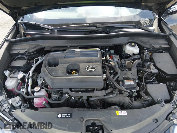 ✅ 2025 Lexus UX 300h Premium • VIN: JTHYBJAH0S2008063 • Lot: 45006058. Wystawiony na IAAI z przebiegiem 12 794 mil. Bezpłatny archiwum sprzedaży aukcyjnych z USA i szczegółowy raport historii pojazdu na DreamBid. Zdjęcie 10.