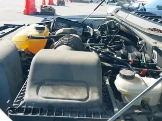 ✅ 2019 Ford F-150 XL • VIN: 1FTEW1C57KKE47515 • Lot: 42947807. Listed on IAAI with 56,933 mi. Free auction sales archive from the USA and detailed vehicle history report at DreamBid. Image 19.