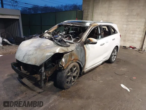 ✅ 2019 Kia Sorento SX • VIN: 5XYPKDA59KG446249 • Lot: 41069665. Wystawiony na IAAI z przebiegiem 111 359 mil. Bezpłatny archiwum sprzedaży aukcyjnych z USA i szczegółowy raport historii pojazdu na DreamBid. Zdjęcie 2.