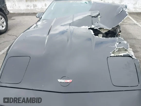 ✅ 1989 Chevrolet Corvette • VIN: 1G1YY3183K5103526 • Lot: 41534320. Wystawiony na IAAI z przebiegiem 151 798 mil. Bezpłatny archiwum sprzedaży aukcyjnych z USA i szczegółowy raport historii pojazdu na DreamBid. Zdjęcie 10.