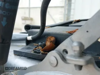 ✅ 2009 MINI Clubman • VIN: WMWML33569TX36239 • Lot: 42466807. Listed on IAAI with 147,131 mi. Free auction sales archive from the USA and detailed vehicle history report at DreamBid. Image 13.