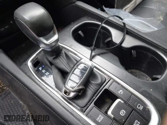 ✅ 2019 Hyundai Santa Fe Ultimate • VIN: 5NMS53AA4KH109566 • Lot: 44211469. Wystawiony na IAAI z przebiegiem 52 957 mil. Bezpłatny archiwum sprzedaży aukcyjnych z USA i szczegółowy raport historii pojazdu na DreamBid. Zdjęcie 11.