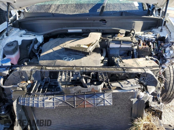 ✅ 2021 Hyundai Palisade SEL • VIN: KM8R4DHE6MU328780 • Lot: 77110375. Wystawiony na Copart z przebiegiem 100 993 mil. Bezpłatny archiwum sprzedaży aukcyjnych z USA i szczegółowy raport historii pojazdu na DreamBid. Zdjęcie 12.