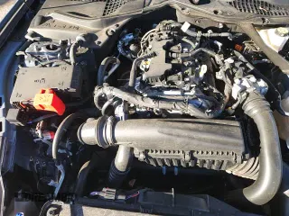 ✅ 2025 Ford Mustang EcoBoost • VIN: 1FA6P8TH7S5103997 • Lot: 90683435. Listed on Copart with 23,310 mi. Free auction sales archive from the USA and detailed vehicle history report at DreamBid. Image 13.