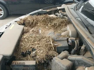 ✅ 2005 Nissan Murano SL • VIN: JN8AZ08T55W319220 • Лот: 43121185. Опубликован ранее на IAAI с пробегом 100 167 миль. Бесплатный доступ к архиву аукционных продаж из США и подробный отчёт об истории автомобиля на DreamBid. Изображение 12.