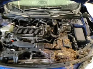 ✅ 2019 Honda Civic EX • VIN: 2HGFC3B32KH352202 • Lot: 87364545. Listed on Copart with 75,757 mi. Free auction sales archive from the USA and detailed vehicle history report at DreamBid. Image 13.