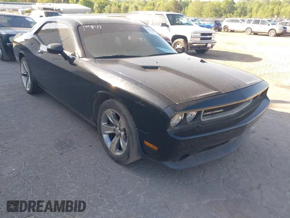 ✅ 2013 Dodge Challenger SXT • VIN: 2C3CDYAG4DH562498 • Lot: 42067473. Wystawiony na IAAI z przebiegiem 193 615 mil. Bezpłatny archiwum sprzedaży aukcyjnych z USA i szczegółowy raport historii pojazdu na DreamBid. Zdjęcie 1.