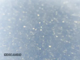 ✅ 2010 Toyota Tundra • VIN: 5TFRU5F13AX024052 • Lot: 42990304. Wystawiony na IAAI z przebiegiem 225 205 mil. Bezpłatny archiwum sprzedaży aukcyjnych z USA i szczegółowy raport historii pojazdu na DreamBid. Zdjęcie 19.