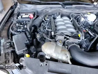 ✅ 2019 Ford Mustang GT Premium • VIN: 1FA6P8CF8K5166752 • Lot: 81967125. Wystawiony na Copart z przebiegiem 49 273 mil. Bezpłatny archiwum sprzedaży aukcyjnych z USA i szczegółowy raport historii pojazdu na DreamBid. Zdjęcie 15.