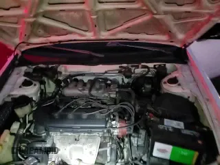 ✅ 1995 Nissan Sentra E • VIN: 1N4AB41D1SC778676 • Лот: 83906324. Опубликован ранее на Copart с пробегом 254 817 миль. Бесплатный доступ к архиву аукционных продаж из США и подробный отчёт об истории автомобиля на DreamBid. Изображение 13.