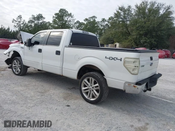 ✅ 2014 Ford F-150 XLT • VIN: 1FTFW1EF6EFB32356 • Lot: 44218658. Wystawiony na IAAI z przebiegiem 203 697 mil. Bezpłatny archiwum sprzedaży aukcyjnych z USA i szczegółowy raport historii pojazdu na DreamBid. Zdjęcie 3.