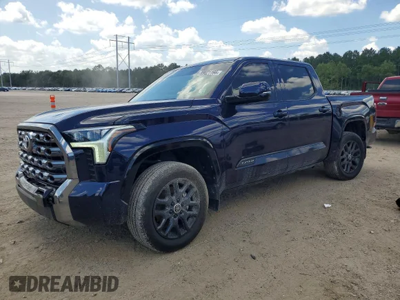✅ 2024 Toyota Tundra Platinum • VIN: 5TFNA5DB3RX206087 • Лот: 59021166. Опубліковано раніше на Copart з пробігом 19 248 миль. Безкоштовний доступ до архіву аукціонних продажів зі США та докладний звіт про історію автомобіля на DreamBid. Зображення 1.