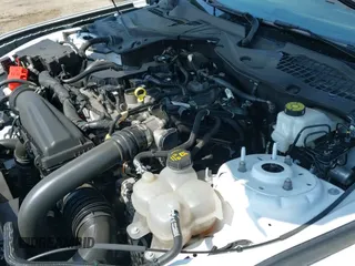 ✅ 2024 Ford Mustang EcoBoost • VIN: 1FA6P8TH1R5120997 • Lot: 42642517. Wystawiony na IAAI z przebiegiem 26 334 mil. Bezpłatny archiwum sprzedaży aukcyjnych z USA i szczegółowy raport historii pojazdu na DreamBid. Zdjęcie 19.