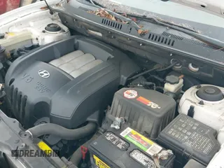 2004 Hyundai Santa Fe GLS с VIN KM8SC13D54U729416, выставлен на аукционе IAAI как лот 41525599 с пробегом 223 392 миль миль и . История ставок и продаж доступна на DreamBid. Изображение 12.