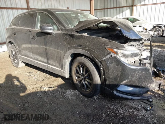 ✅ 2016 Mazda CX-9 Touring • VIN: JM3TCACY8G0102157 • Лот: 41670673. Опубліковано раніше на IAAI з пробігом 87 796 миль. Безкоштовний доступ до архіву аукціонних продажів зі США та докладний звіт про історію автомобіля на DreamBid. Зображення 1.